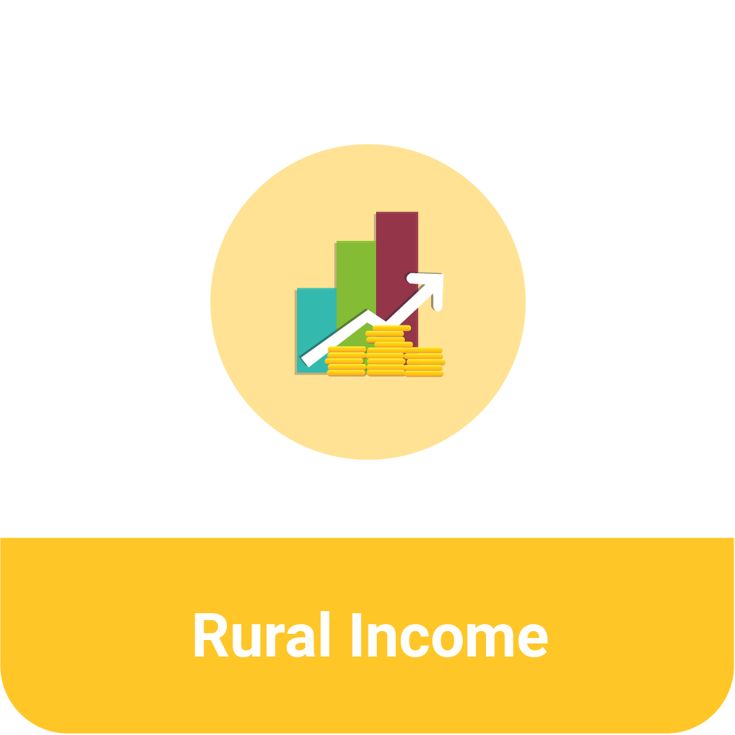 Title that reads "Rural Income" under an icon of of coins in front of a graph showing growth.