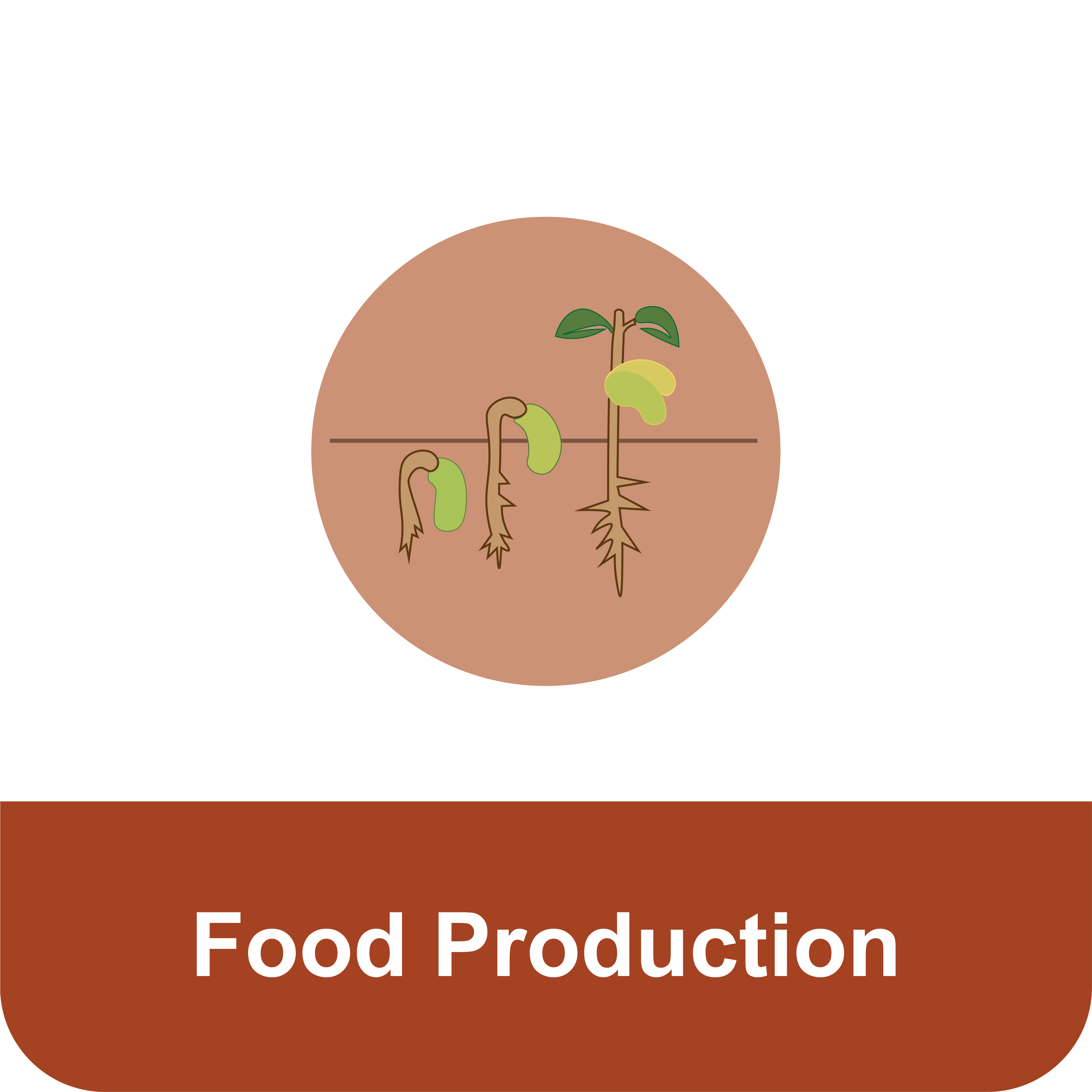 Title that reads "Food Production" under an icon of a seedling growing.