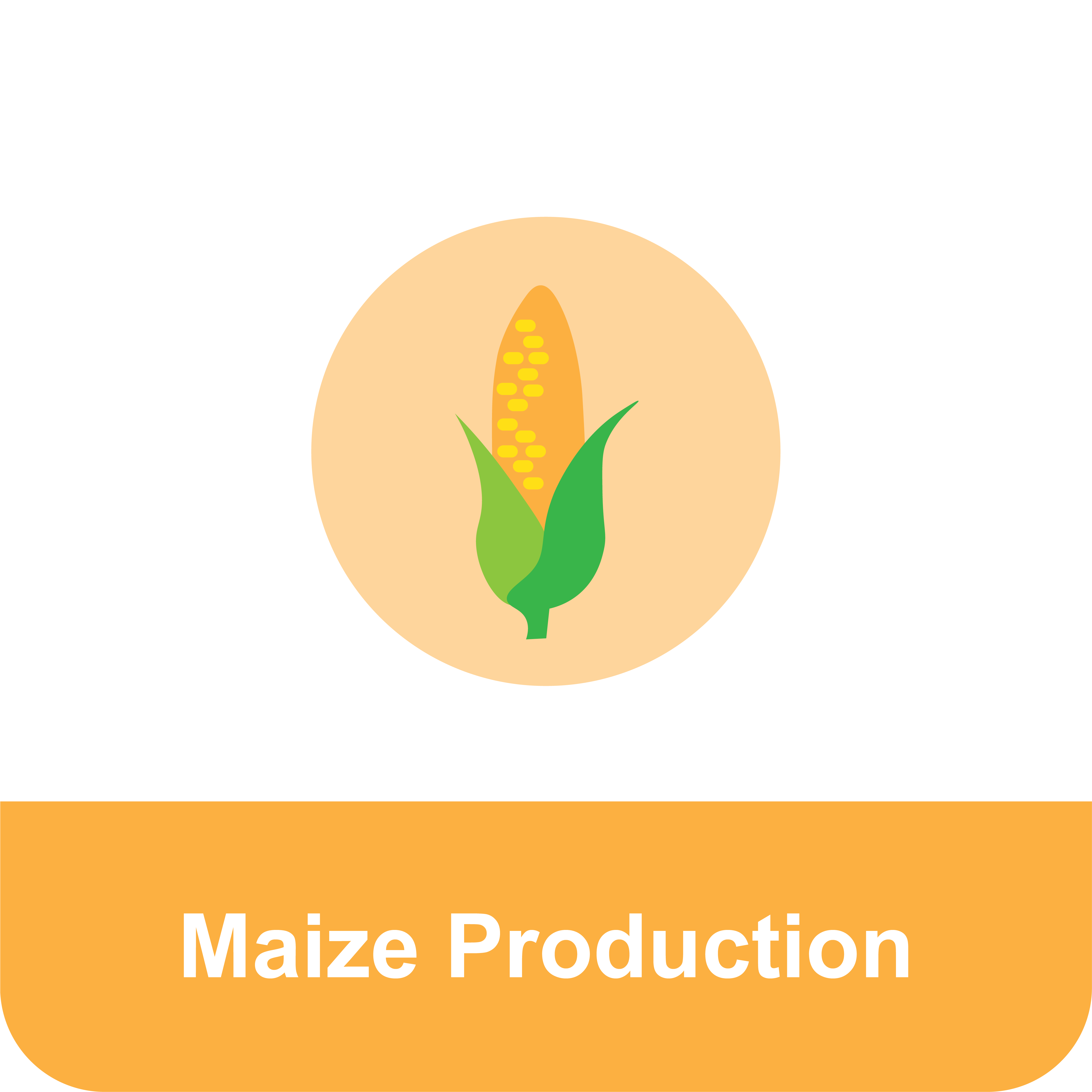 Title that reads "Maize Production" under an icon of an ear of maize.