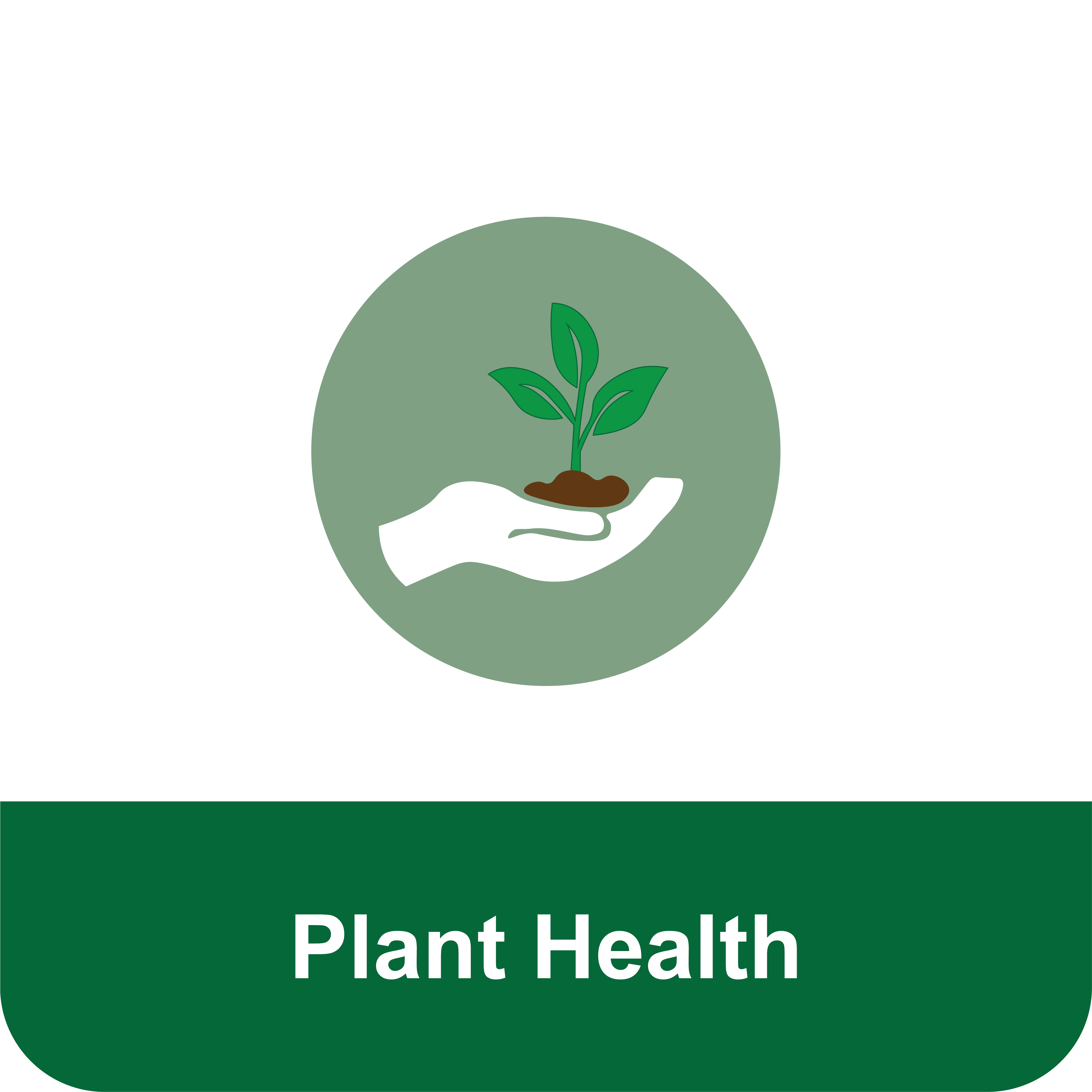 Title that reads "Plant Health" under an icon of a hand holding a seedling.