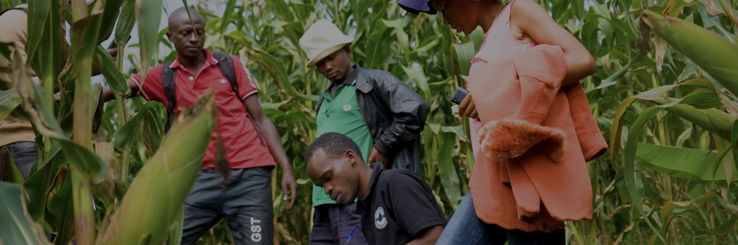 SolarSPELL libraries yield big wins for Rwandan farmers